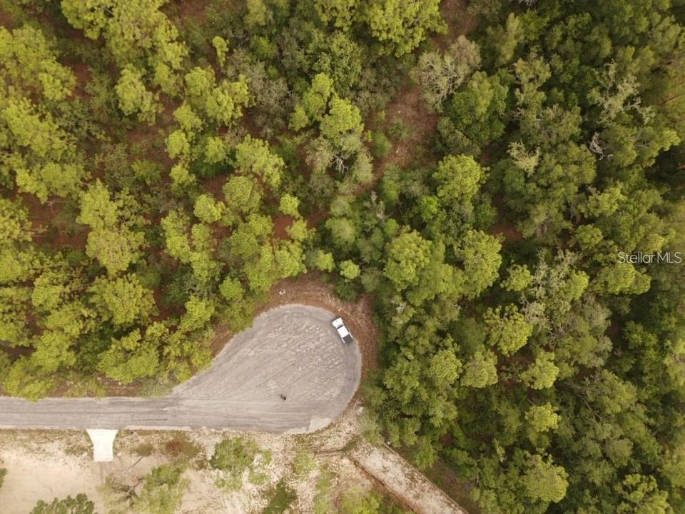 GREEN HAMMOCK SUB - Land