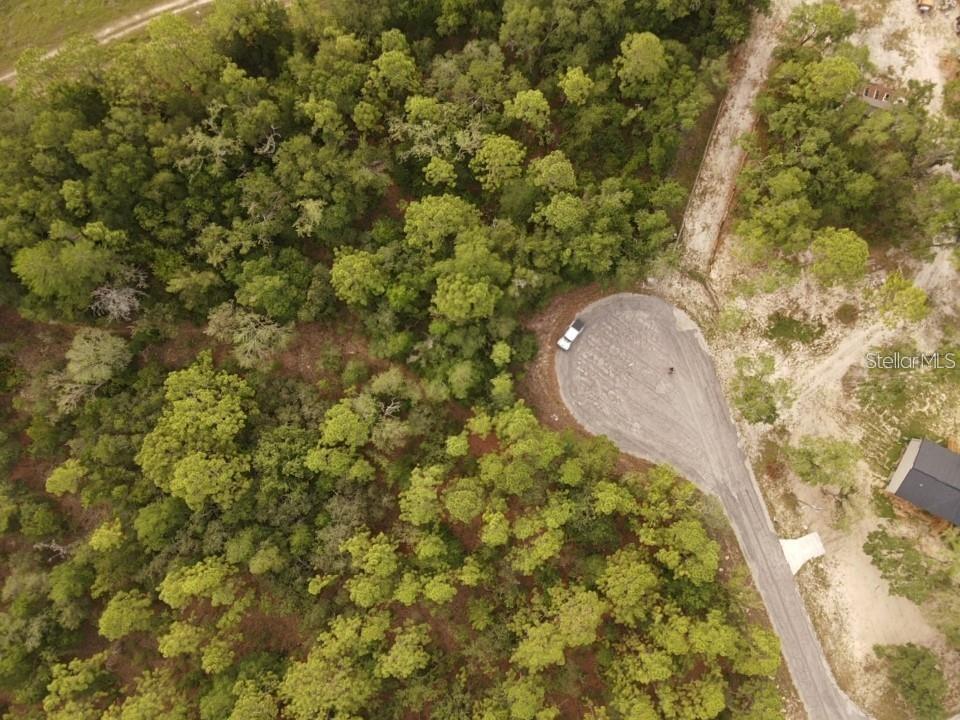 GREEN HAMMOCK SUB - Land