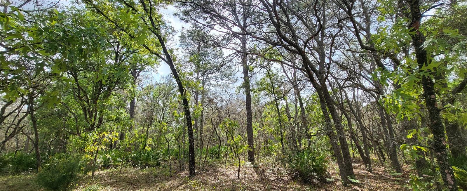 ROYAL HIGHLANDS - Land