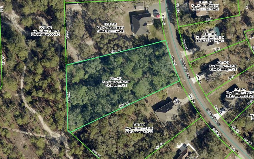Nestled away in a highly desirable area of the Royal Highlands, this beautiful 1.4 ac home site is waiting for you. The location is fantastic, ready to build your dream home on - or hold on to as an investment. Not in a deed restricted community, NO HOA or CDD fees either, and there is no time limit on when you can build. Close to all area amenities such as shopping, schools, dining, entertainment, medical, saltwater fishing in the Gulf and natural freshwater rivers and springs - for those who love the outdoors. Come see this beautiful home site today before it's gone. If you have any questions, just ask.