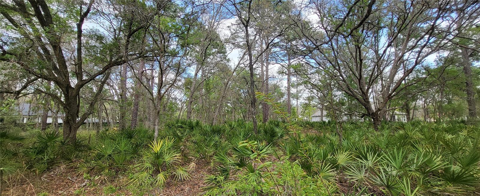 ROYAL HIGHLANDS - Land