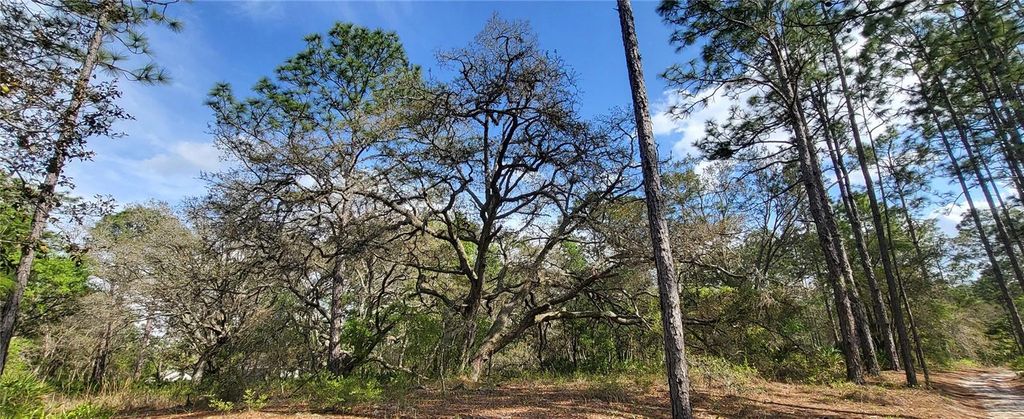 Photo of 12090 Osprey Avenue, Weeki Wachee, FL 34614 (MLS # W7882641)