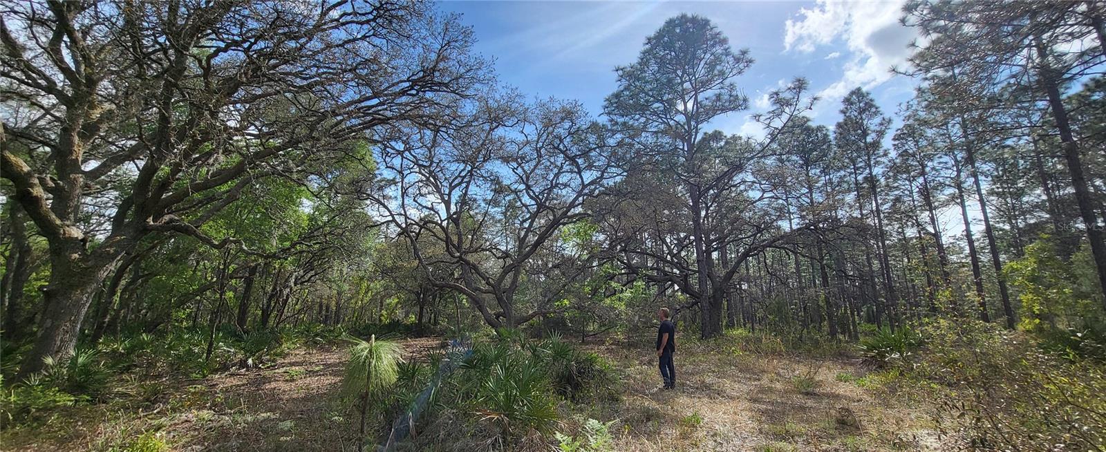 ROYAL HIGHLANDS - Land