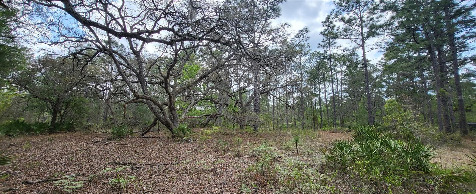 ROYAL HIGHLANDS - Land