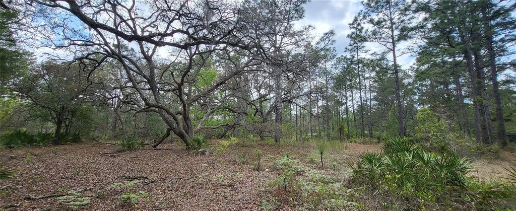 Photo of 12090 Osprey Avenue, Weeki Wachee, FL 34614 (MLS # W7882641)