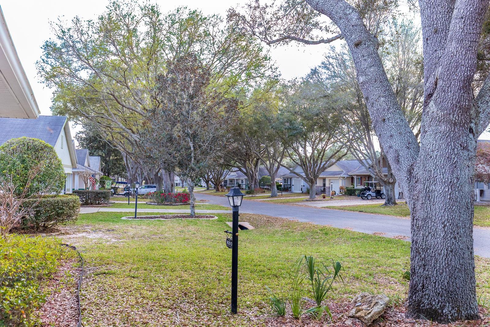 ON TOP OF THE WORLD CENTRAL - Residential