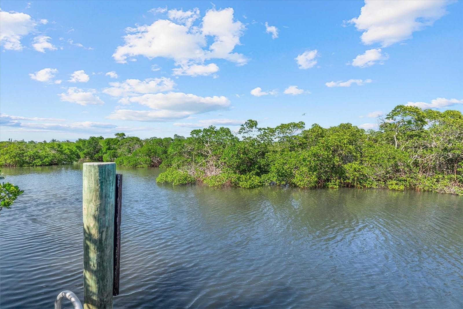 SIESTA BEACH - Residential