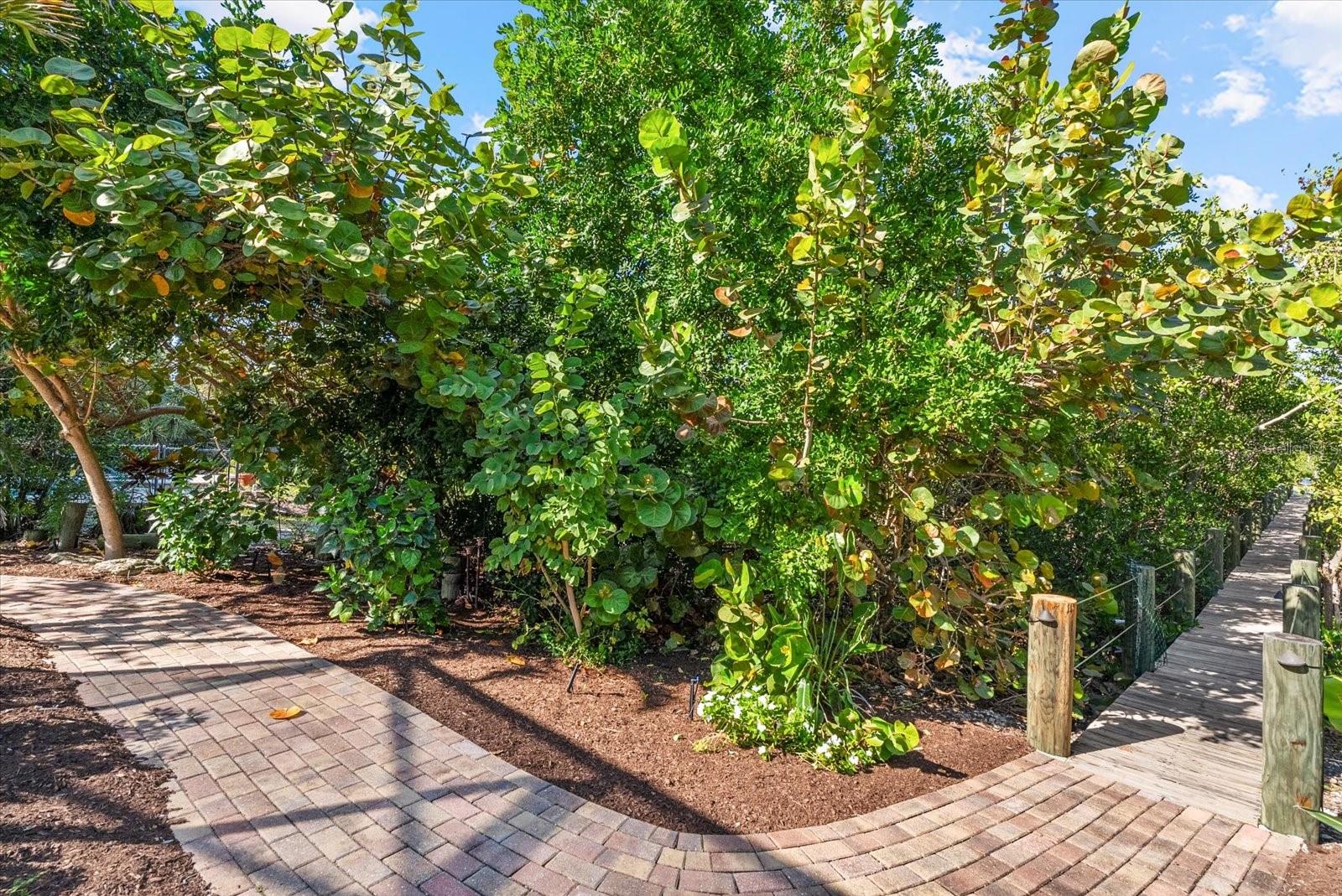 SIESTA BEACH - Residential