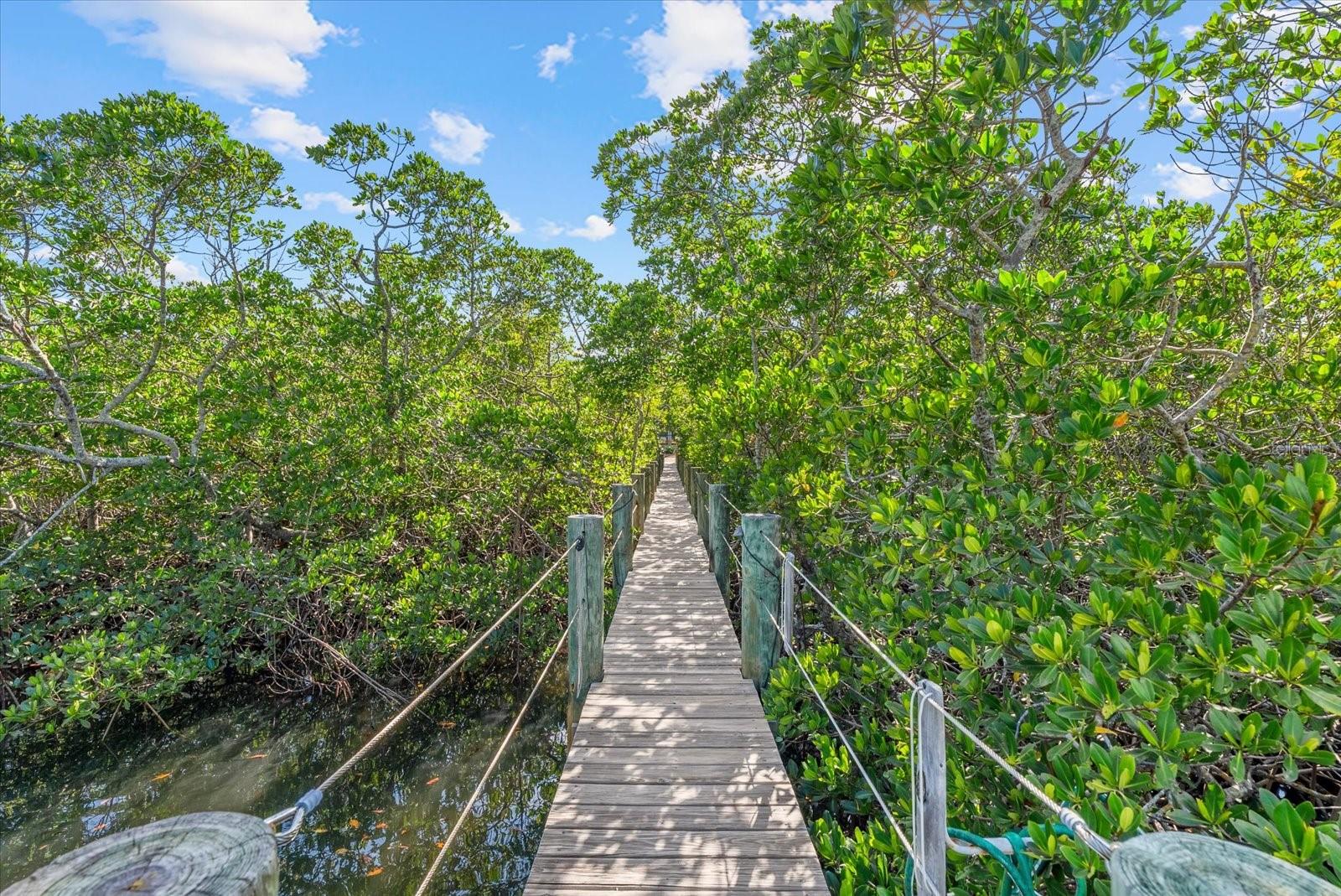 SIESTA BEACH - Residential