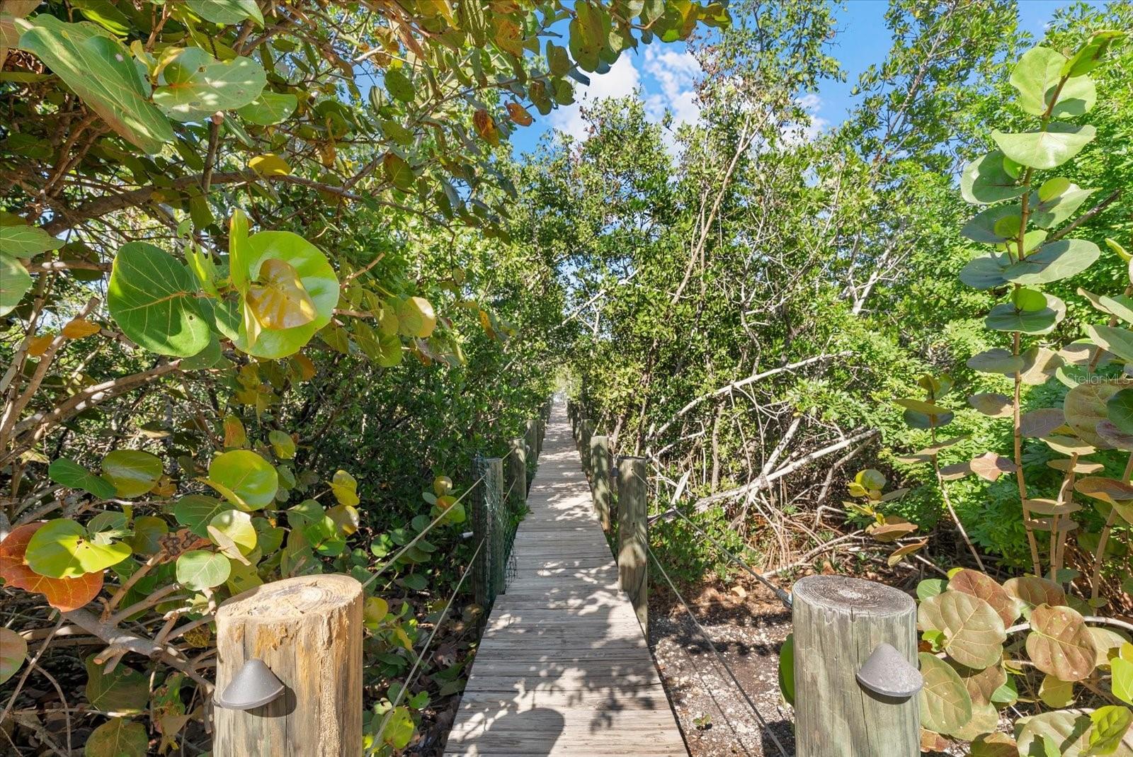 SIESTA BEACH - Residential
