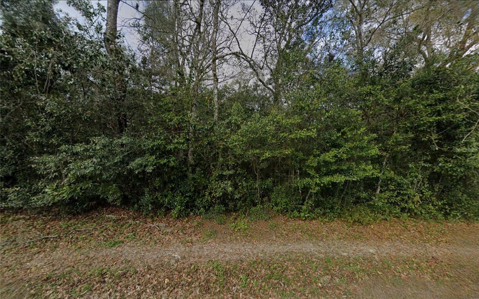 6524 N SOURGUM TERRACE