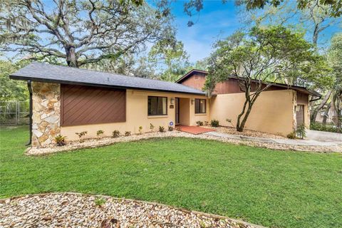 A home in TEMPLE TERRACE