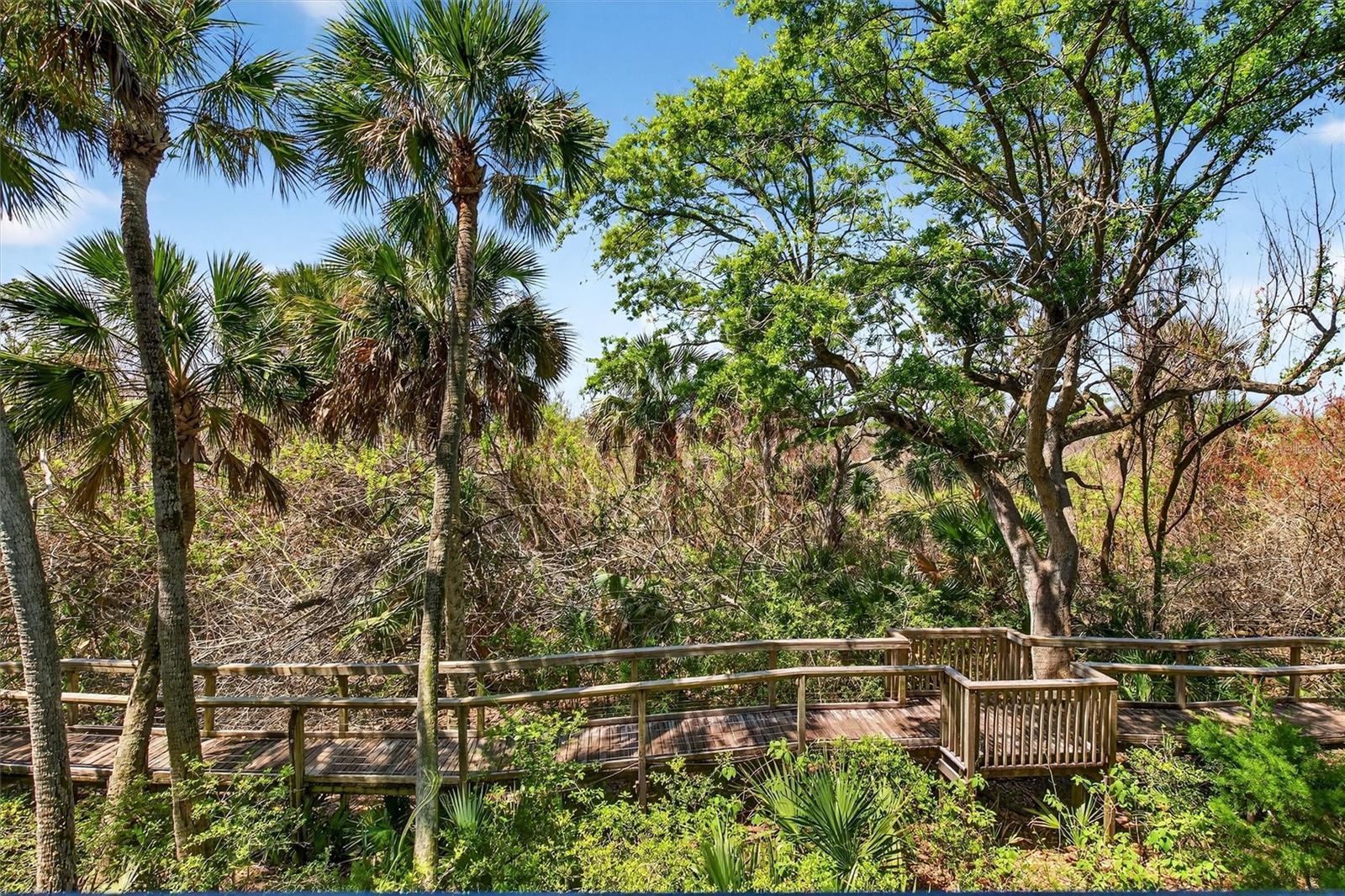 OCEAN WALK CONDO AT NSB - Residential