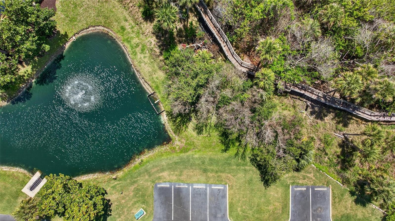 OCEAN WALK CONDO AT NSB - Residential