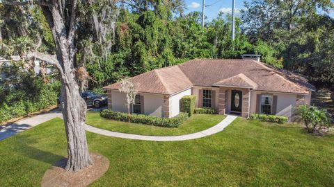 A home in MOUNT DORA