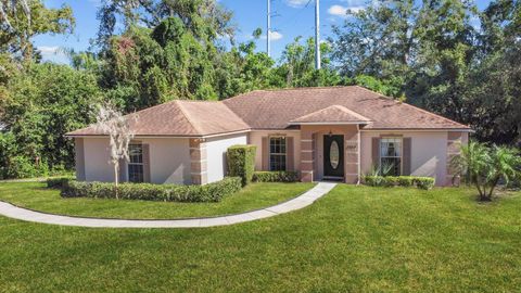 A home in MOUNT DORA