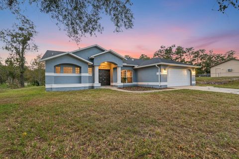 Photo of 10294 Desert Sparrow Avenue, Weeki Wachee, FL 34613 (MLS # W7879876)