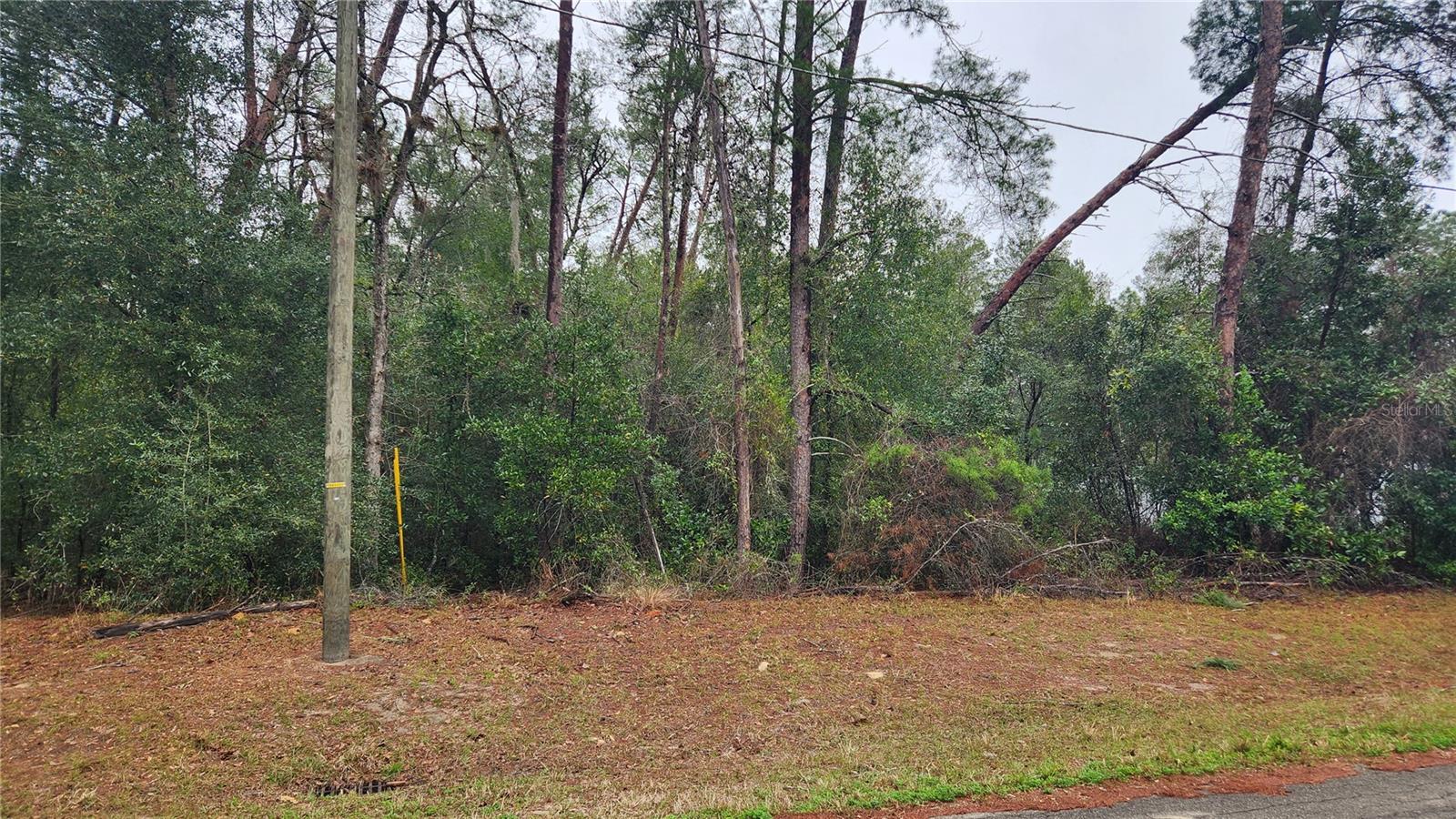 Come build your dream home on this over 1/2 acre wooded lot of rural paradise. Beautiful Wooded Lot! Near Silver Springs Shores and Lake Weir, less than 20 miles from the Villages. No HOA. Near Ocklawaha Prairie Resoration area and other State Parks.