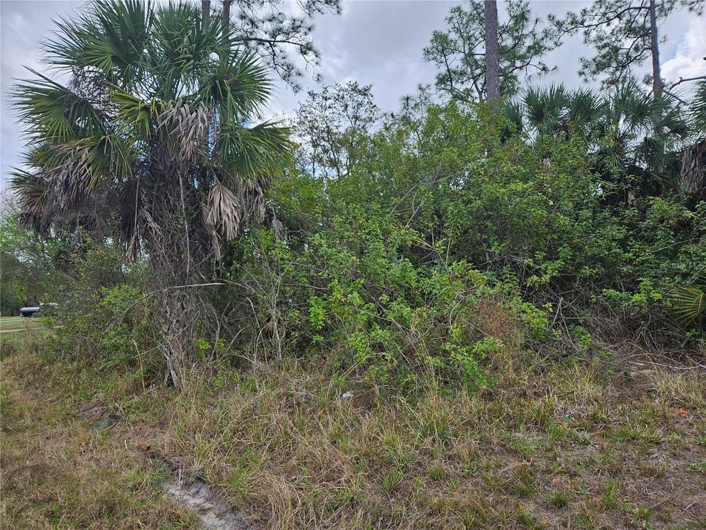 Photo of 20339 Bachmann Boulevard, Port Charlotte, FL 33954 (MLS # C7523218)