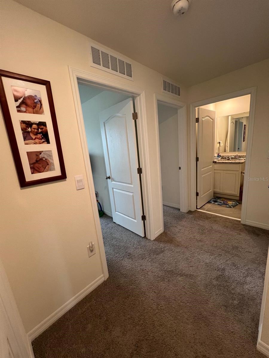 2755 BRIE HAMMOCK BEND