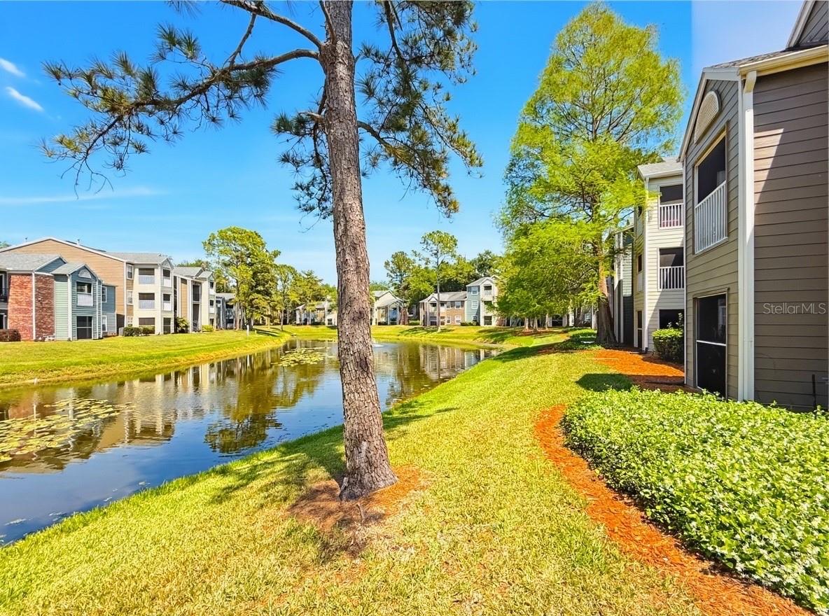 BELMONT AT PARK CENTRAL CONDO - Residential