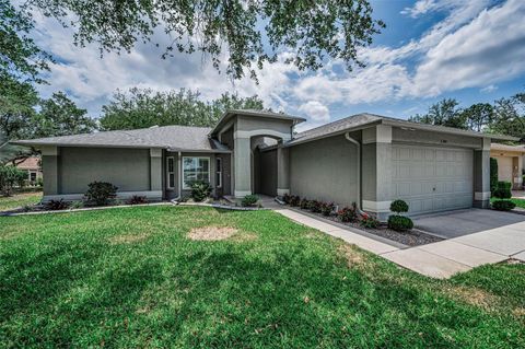 Photo of 1300 Fallowfield Drive, Trinity, FL 34655 (MLS # W7885053)
