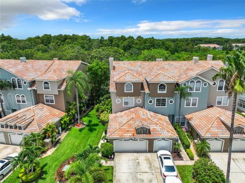 A home in PALM HARBOR