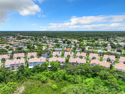 A home in PALM HARBOR