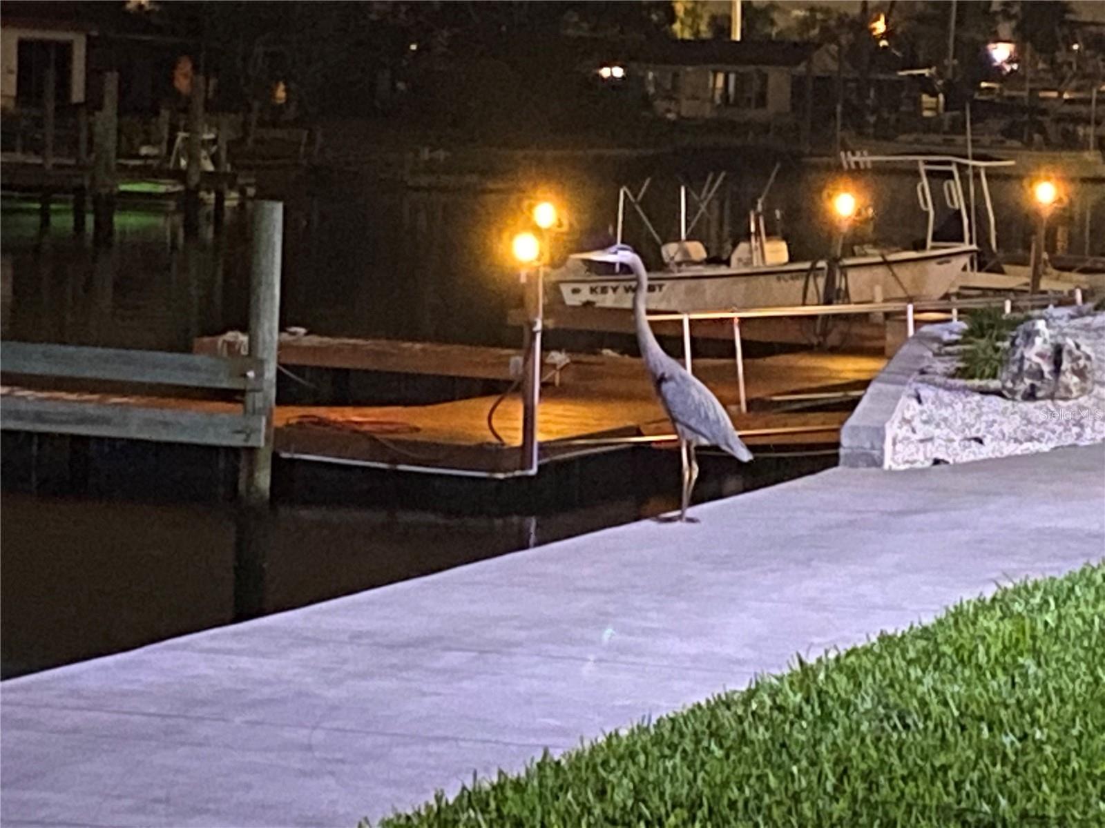 GULF ISLAND BEACH TENNIS - Residential