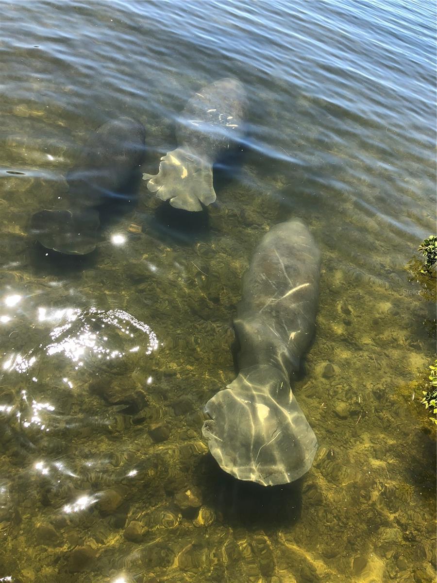 GULF ISLAND BEACH TENNIS - Residential