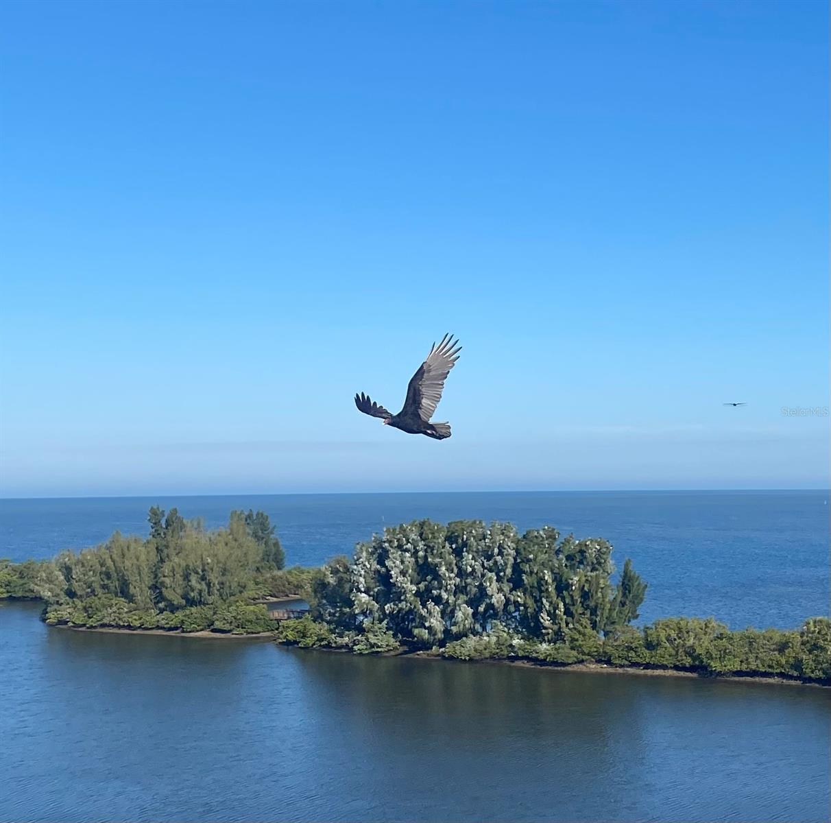 GULF ISLAND BEACH TENNIS - Residential