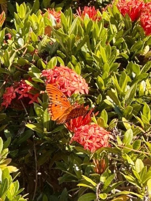 NORTHDALE SEC A UNIT 2 - Residential