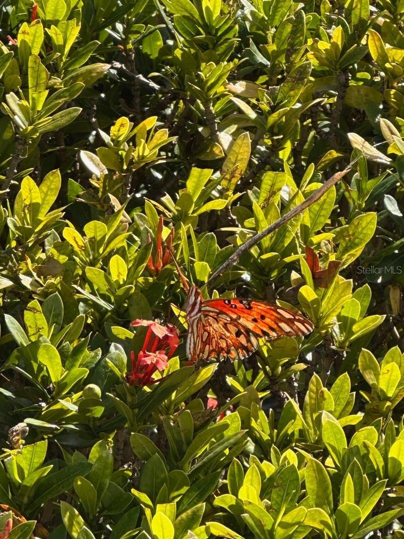 NORTHDALE SEC A UNIT 2 - Residential