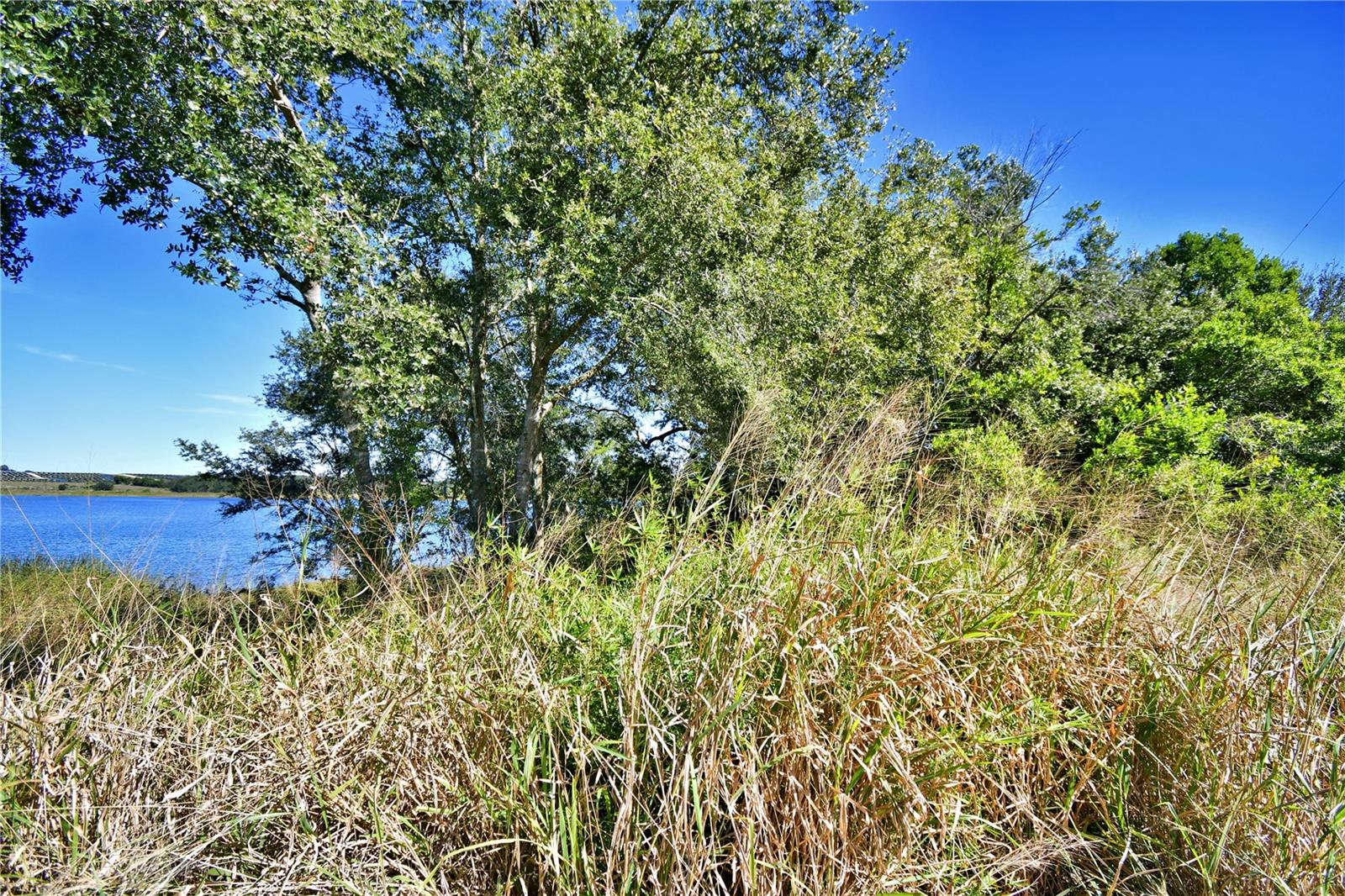 LAKE MABEL HEIGHTS - Land