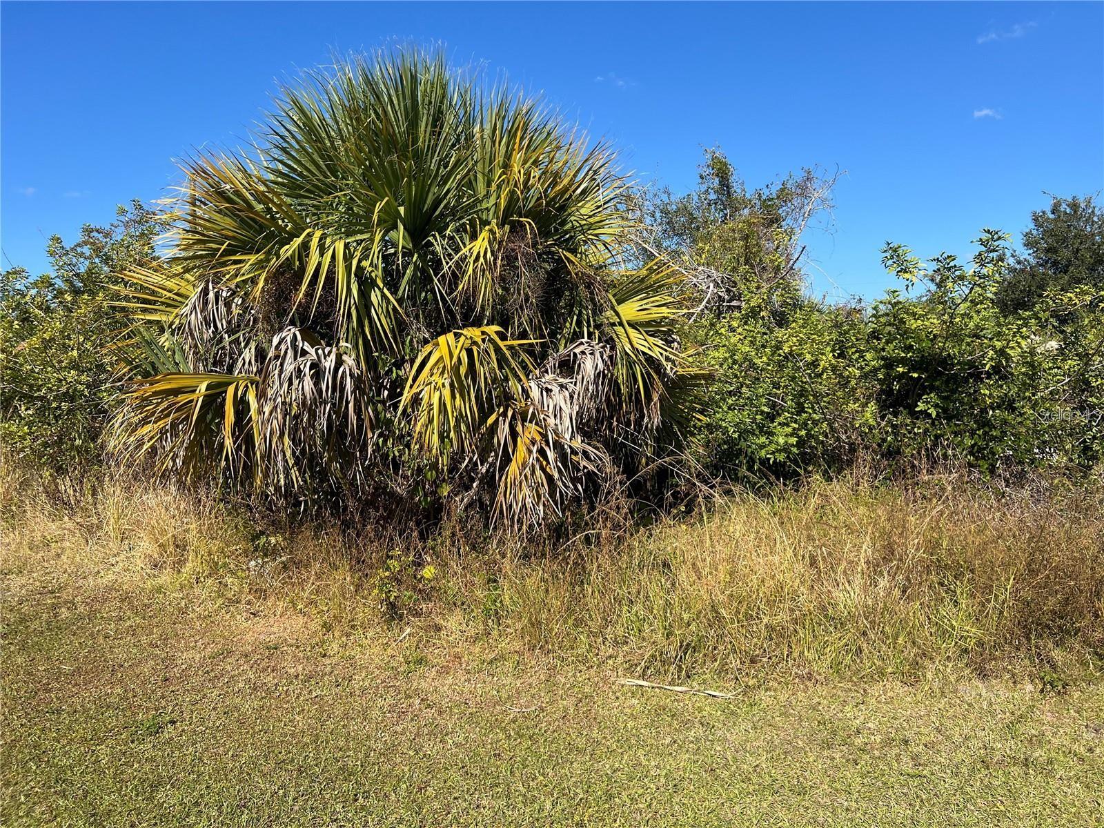 PORT CHARLOTTE SEC 017 - Land