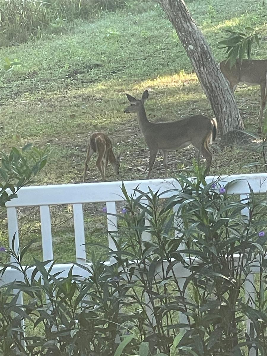 LOCHVERNESS PH 02 - Residential