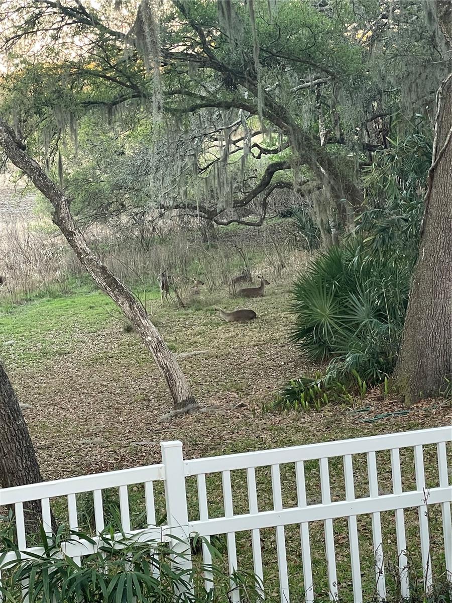 LOCHVERNESS PH 02 - Residential