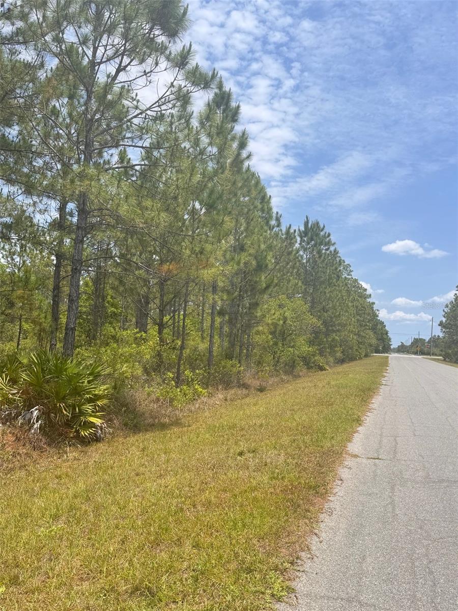 WOW ~Pristine GEM!! Amazing 2.17 Acre Corner Lot! All Uplands County Confirmed - W.D./"CAD" in progress with Orange County!! Ready for your Dream Home in Utmost Privacy and Tranquility!! So Much Land you Can Build Your House Hidden Away in Your own Private Woods! Ready to Embrace the Wedgefield lifestyle? Your chance is here on the NorthWest Corner of Ortega St and Bancroft Blvd with an Amazing 2.17 Acre Homesite. A Short Walk from Wedgefield K-8 School! Wedgefield is Golf and Equestrian Community like No Other! A true Hidden Gem in East Orlando also known as Cape Orlando Estates. Large Playground in the Community Park, Multiple Ball Courts, Including Pickleball! Outdoor Exercise Equipment, Dog Park and Weekly & Monthly Community Events to Enjoy! This Incredible Location of Wedgefield also is Home to the Hal Scott Regional Preserve and Park a 9,515-acre nature preserve. Hal Scott Preserves boasts miles of unspoiled sanctuary trails for hiking along the scenic shoreline of the Econlockhatchee River, with plenty of wildlife to view!! Trails are available for hiking, horseback riding and bicycling, and fishing is permitted. In Wedgefield the Proximity to 528 Allows for seamless commute to Lake Nona, Medical City or Downtown Orlando via 417, 408 or I-4. The Shores of Port Canaveral and the Gorgeous Beaches are just minutes away. If you are looking to create your Dream Home near World-Class Amenities or seeking a smart Investment Opportunity Come see this Oversized Corner Lot on Ortega St and Bancroft Blvd. Today! Fresh Survey Complete.