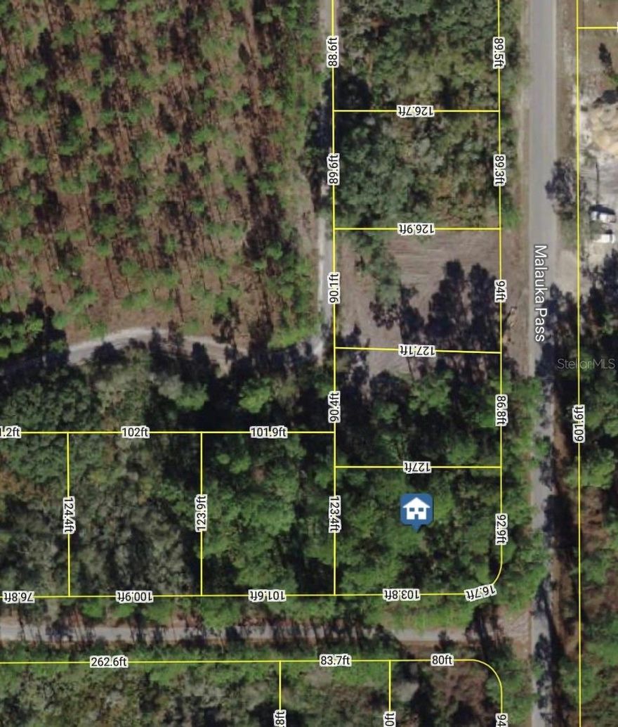 Build your vision on this 0.28-acre corner lot located on Malauka Pass in Ocklawaha. This wooded parcel offers a peaceful, natural setting with plenty of potential for a future home or investment. The property is being sold as-is and will require a septic system and well for water. Electricity is available nearby, making development more accessible.
Conveniently situated in a growing area with easy access to nearby lakes, outdoor recreation, and the Ocala National Forest, this lot is a solid opportunity for those looking to create something from the ground up in a quiet Florida setting.