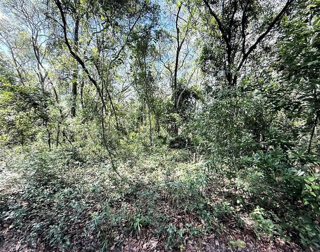 Photo of SW 150th Street, Dunnellon, FL 34432 (MLS # W7888410)