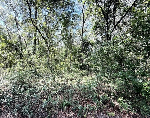Photo of SW 150th Street, Dunnellon, FL 34432 (MLS # W7888410)