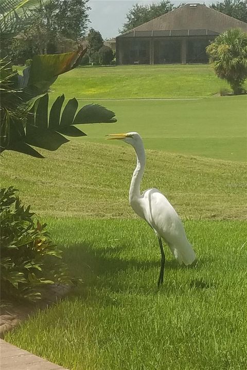 Tiny photo for 6816 SW 95th Circle, Ocala, FL 34481 (MLS # OM700050)