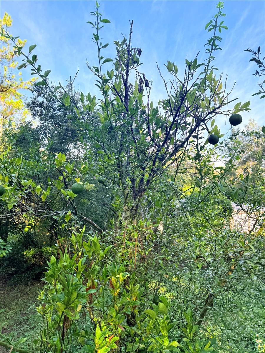 NO SUBDIVISION - Residential