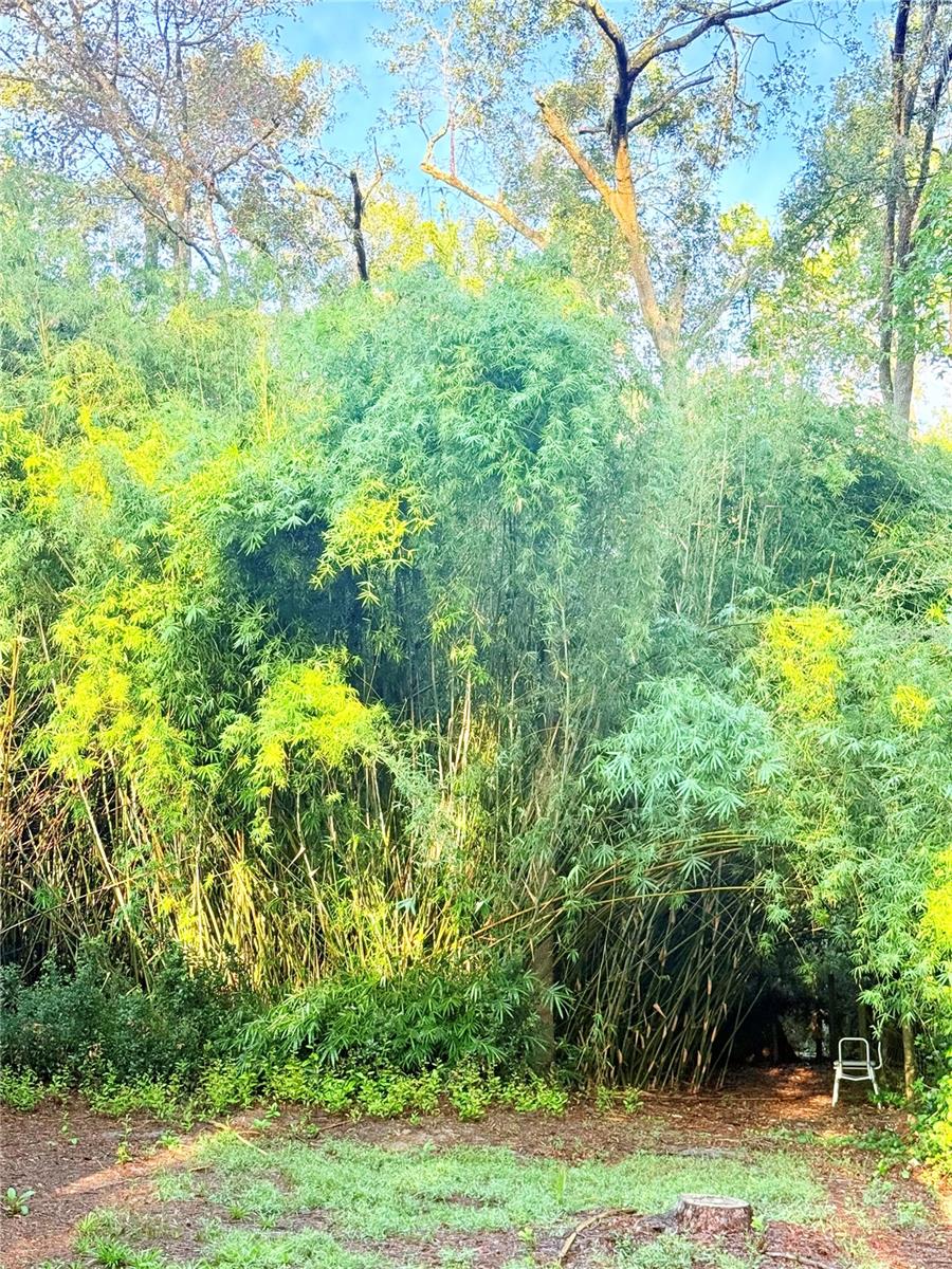 NO SUBDIVISION - Residential