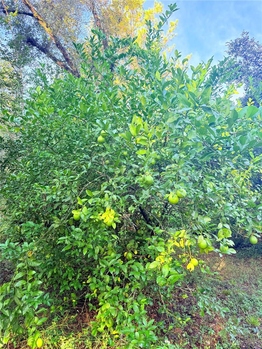 NO SUBDIVISION - Residential