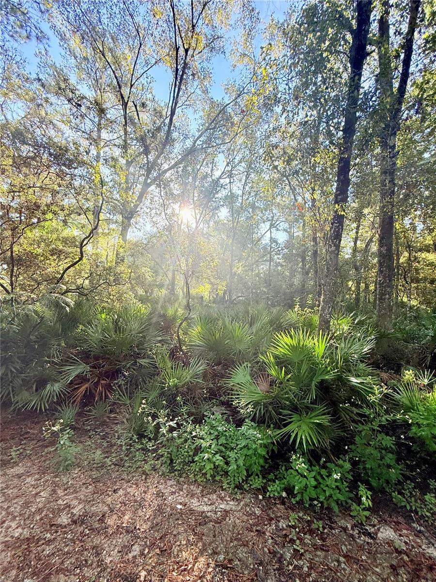 NO SUBDIVISION - Residential