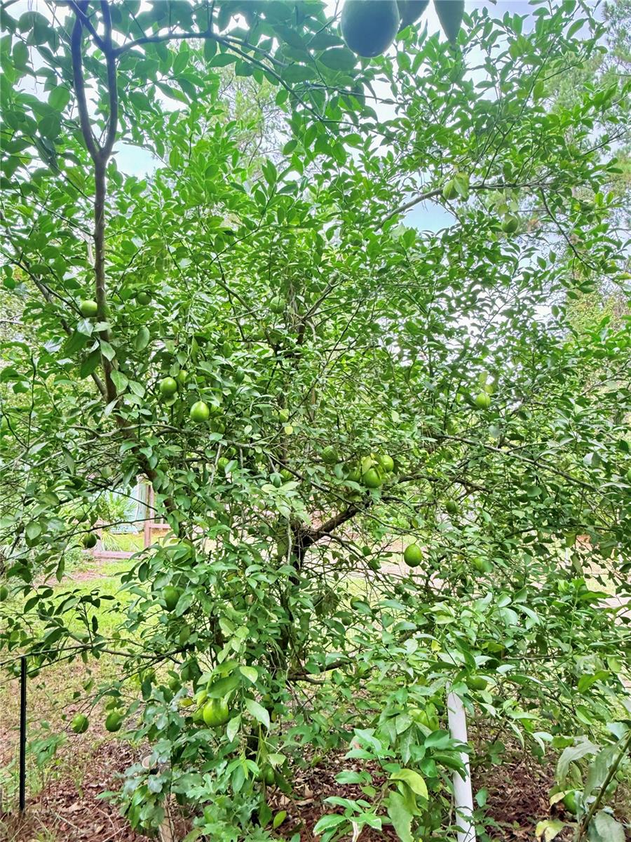 NO SUBDIVISION - Residential