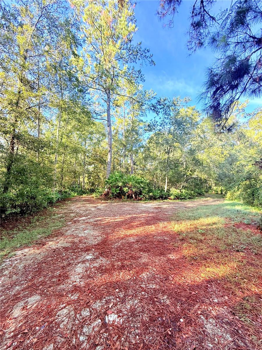 NO SUBDIVISION - Residential