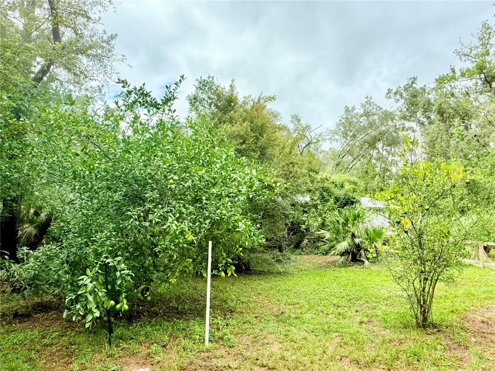 NO SUBDIVISION - Residential