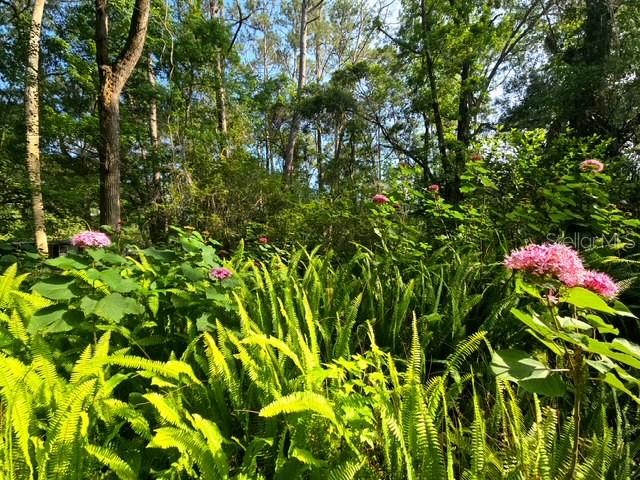 CEDAR LANE SITES - Residential